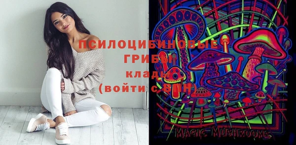 MDMA Бородино