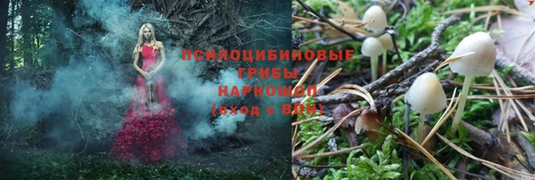 MDMA Бородино