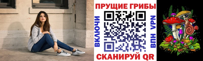 Купить  Неман  Галлюциногенные грибы MAGIC MUSHROOMS 